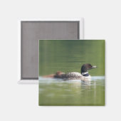 Loon met chick Magnet Magneet (Voorkant / Achterkant)