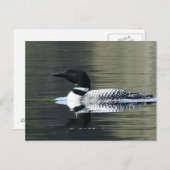 Loon op een bergmeer briefkaart (Voorkant / Achterkant)