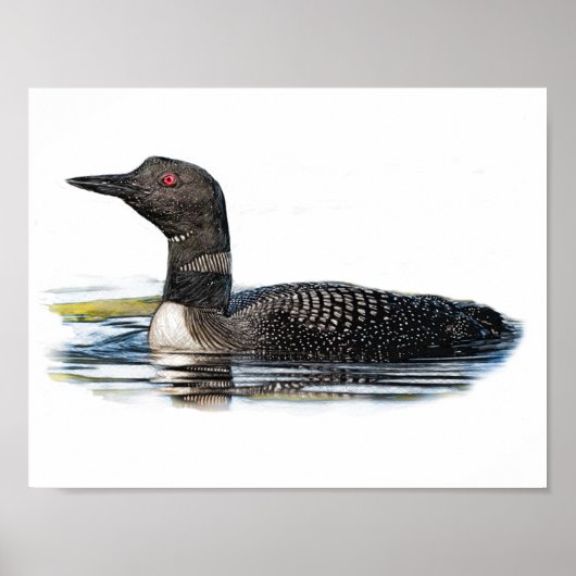 Loon op water poster (Voorkant)