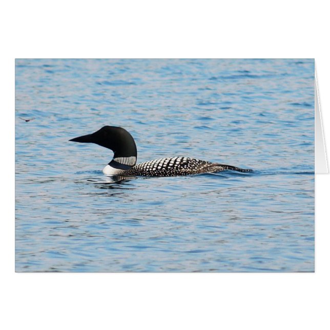 Loon Silhouette (Voorkant Horizontaal)