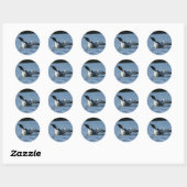 Loon stickers (Vel)