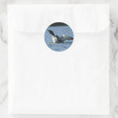 Loon stickers (Tas)