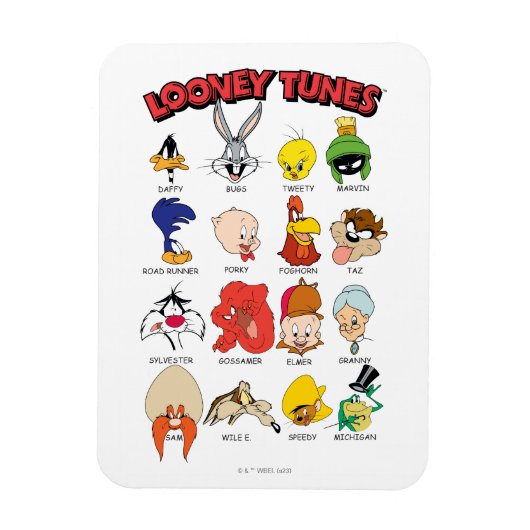 LOONEY TUNES™ Headshots Magneet (Verticaal)