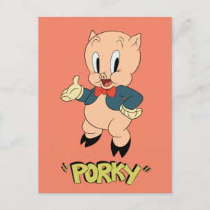 LOONEY TUNES™ Retro Laughs   Porky Pig Briefkaart