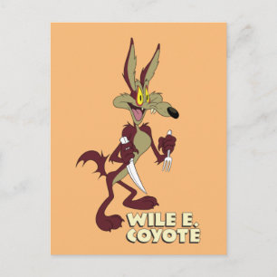 LOONEY TUNES™ Retro Laughs   WILE E. COYOTE™ Briefkaart
