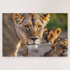 Loonheid met kubussen legpuzzel