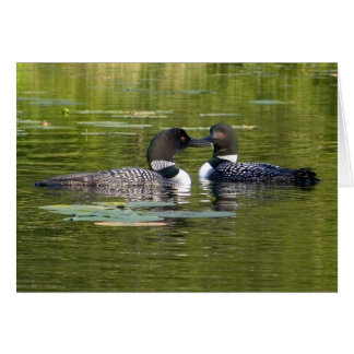 Loons