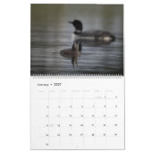 Loons et loonlets (plongeons) Calendrier (Jan 2027)