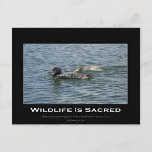 Loons Inspirerend geschenken Briefkaart