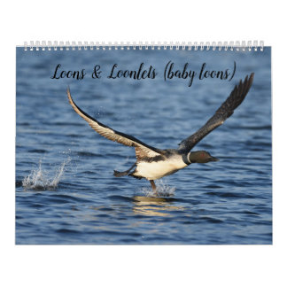 Loons & Loonlets (baby loons) Kalender