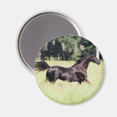 Loop als de wind magneet (Voorkant / Achterkant)