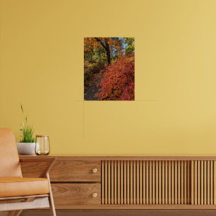 Loop door een herfstkleuren botanische tuin poster