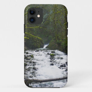 Loopbaan bij de Herfsten van Bridal Veil, OF iPhone 11 Hoesje