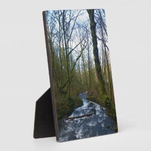 Loopbaan bij de Herfsten van Bridal Veil, OF Fotoplaat