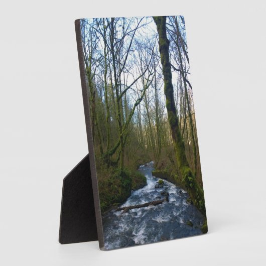 Loopbaan bij de Herfsten van Bridal Veil, OF Fotoplaat (Zijkant)