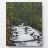 Loopbaan bij de Herfsten van Bridal Veil, OF Fotoplaat (Voorkant)