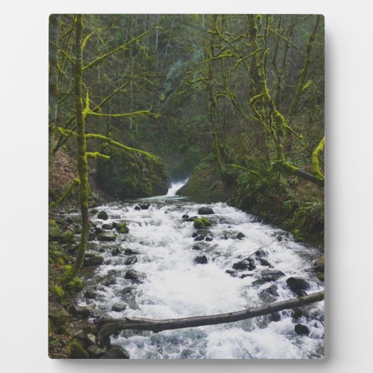 Loopbaan bij de Herfsten van Bridal Veil, OF Fotoplaat (Voorkant)