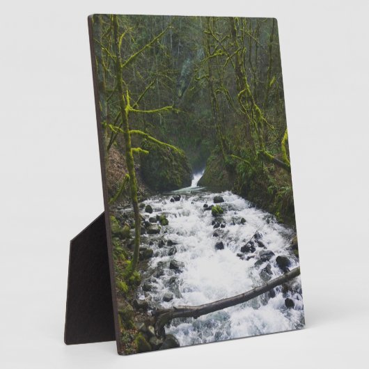 Loopbaan bij de Herfsten van Bridal Veil, OF Fotoplaat (Zijkant)