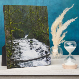 Loopbaan bij de Herfsten van Bridal Veil, OF Fotoplaat