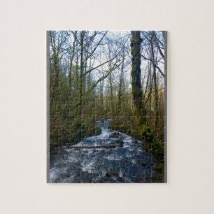 Loopbaan bij de Herfsten van Bridal Veil, OF Legpuzzel