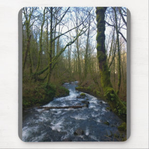 Loopbaan bij de Herfsten van Bridal Veil, OF Muismat