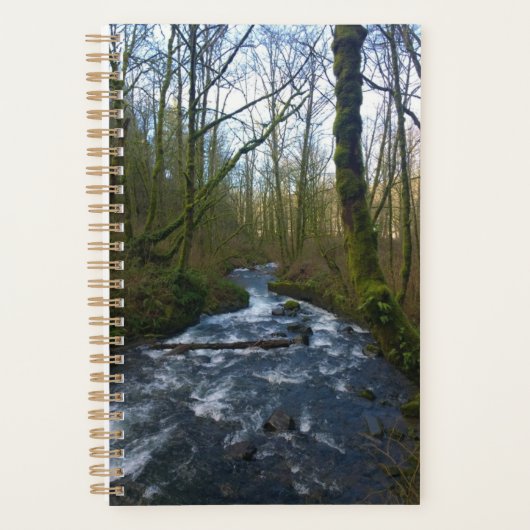 Loopbaan bij de Herfsten van Bridal Veil, OF Planner (Voorkant)