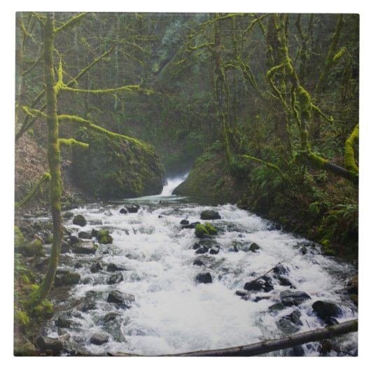 Loopbaan bij de Herfsten van Bridal Veil, OF Tegeltje (Voorkant)