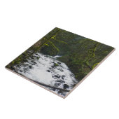 Loopbaan bij de Herfsten van Bridal Veil, OF Tegeltje (Zijkant)