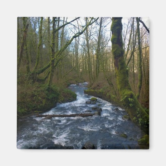 Loopbaan van de Herfsten van Bridal Veil, Oregon Magneet (Voorkant)