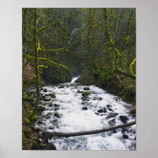 Loopbaan van de Herfsten van Bridal Veil, Oregon Poster (Voorkant)