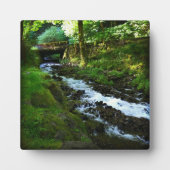 Loopbaan van Wahkeena-Herfsten, OF Fotoplaat (Voorkant)