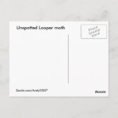 Looper moth ~ carte postale (Dos)