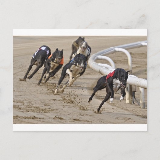 Looppas aan de lijn briefkaart (Voorkant)