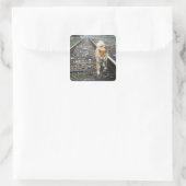 Loopspoor Vierkante Sticker (Tas)