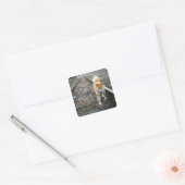 Loopspoor Vierkante Sticker (Envelop)