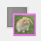 Lop Bunny Magneet (Voorkant / Achterkant)