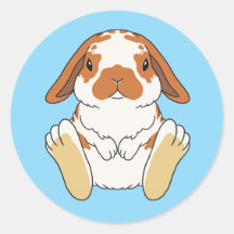 Lop Bunny Sticker Broken Orange