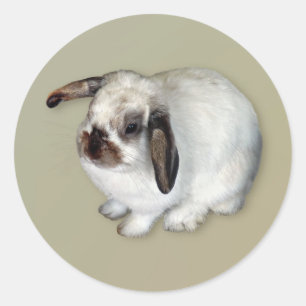 Lop-Eared Bunny Ronde Sticker