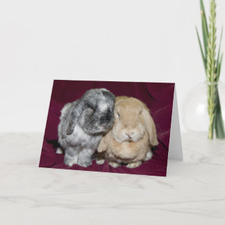 Lop Eared Rabbit Pair Kaart