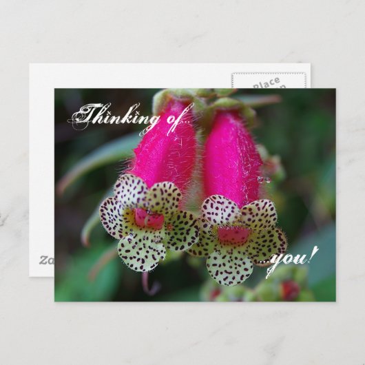 Lopedventilatorontwerp Briefkaart (Voorkant / Achterkant)