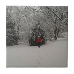 Lopen in een winterland tegeltje