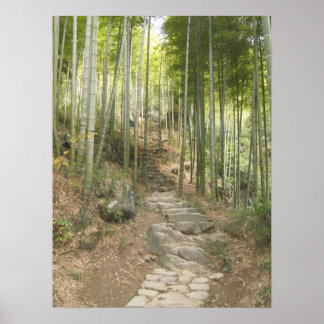Lopen met Bamboo Poster
