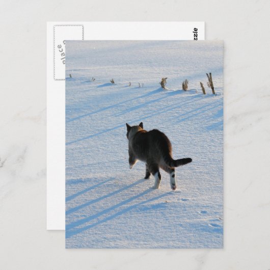 Lopen op het terrein briefkaart (Voorkant / Achterkant)