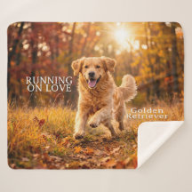 Lopend op Joy Golden Retriever