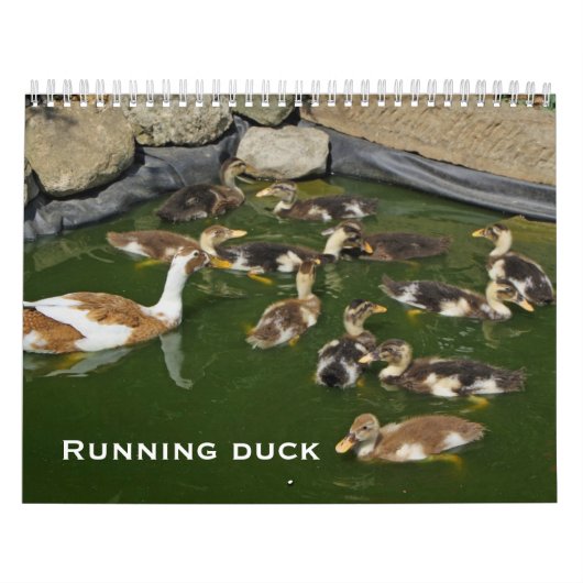 Lopende eend kalender (Hoes)