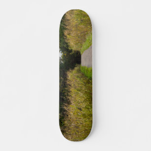 Lopende loopbaan skateboard