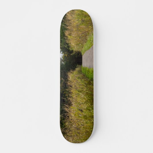 Lopende loopbaan skateboard (Voorkant)