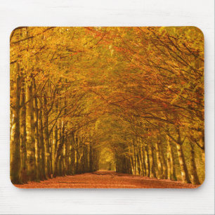Lopende weg door het bos in de herfstmousepad muismat