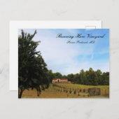 Lopende wijngaard briefkaart (Voorkant / Achterkant)