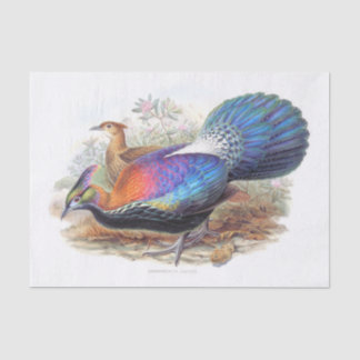 Lophophorus L'Huysi, Natuur Wildlife Decoupage Tissuepapier